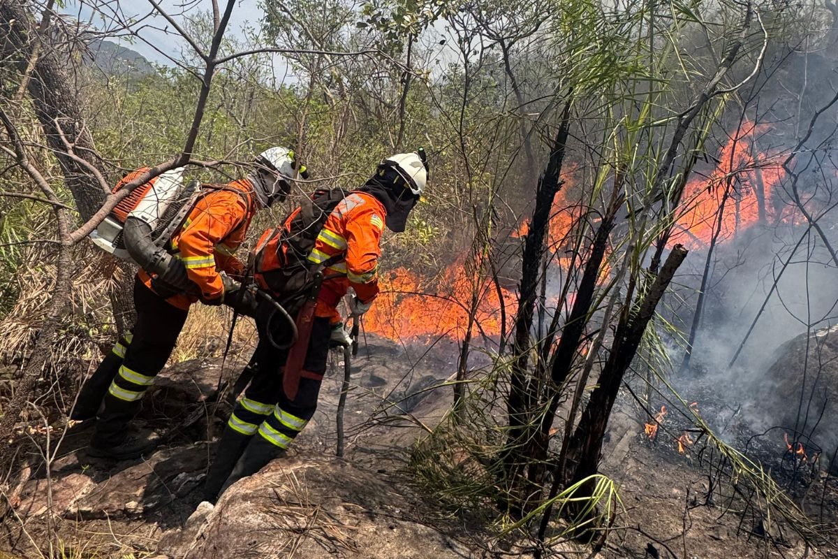 Nota: presidente da OCBPM lamenta incêndios florestais na Chapada dos Veadeiros e pede apoio das autoridades